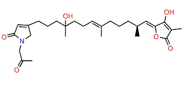 8-Hydroxyircinialactam B